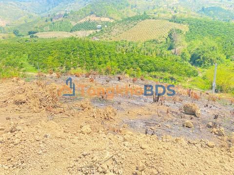 Đất rẫy Thôn 7 Đắk Pne Kon Rẫy 1ha - Tiềm năng tăng giá