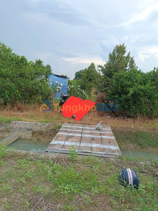 Đất CLN Trường Hòa 2.000m² giá 670 triệu - Sổ đỏ chính chủ