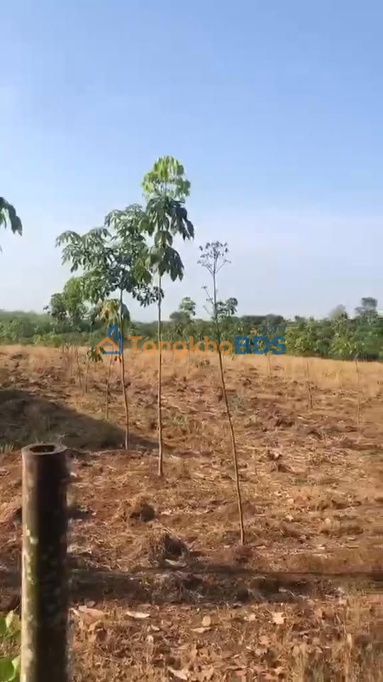 Đất vườn Thôn 8 Định Quán 25.000m² 3.3 tỷ - Đầu tư dài hạn