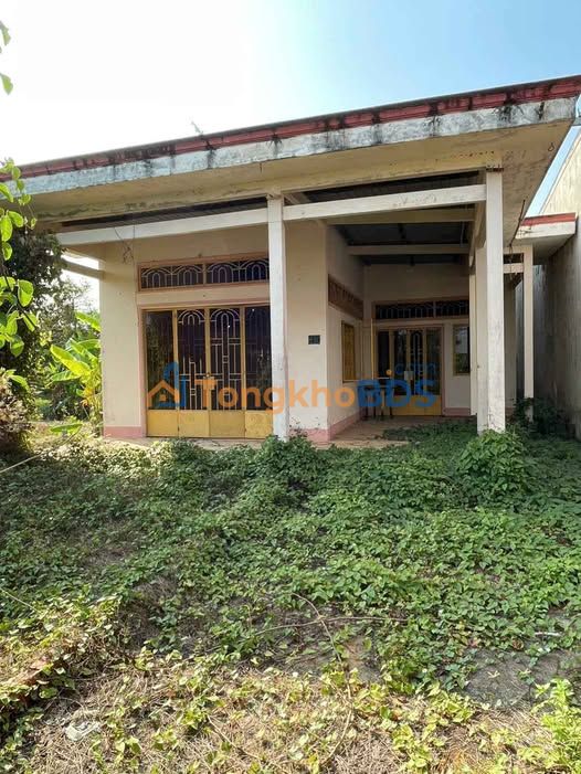 Đất nền QL57B Châu Thành 273m² 1.35 tỷ - Đường to ô tô