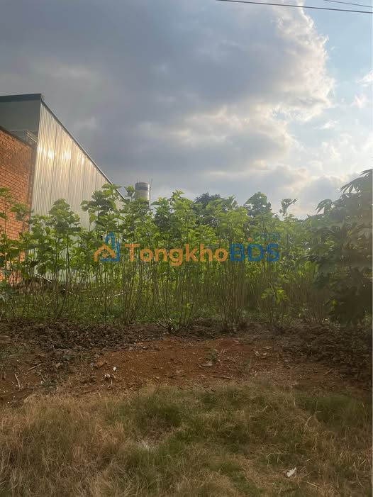 Đất Bảo Lộc Trần Tế Xương 370m² 3.95 tỷ - Thổ cư 100%