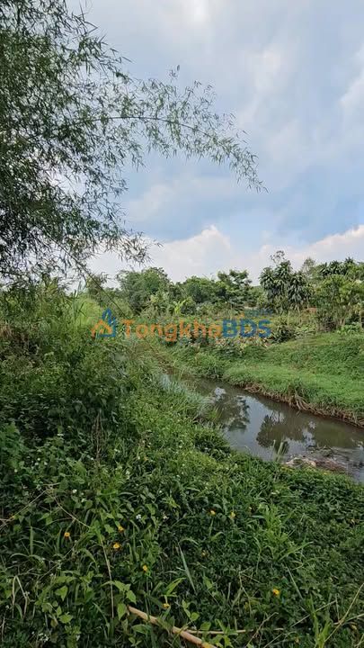 Đất nền Phường 1 Bảo Lộc 500m² 2.95 tỷ - Sổ đỏ chính chủ