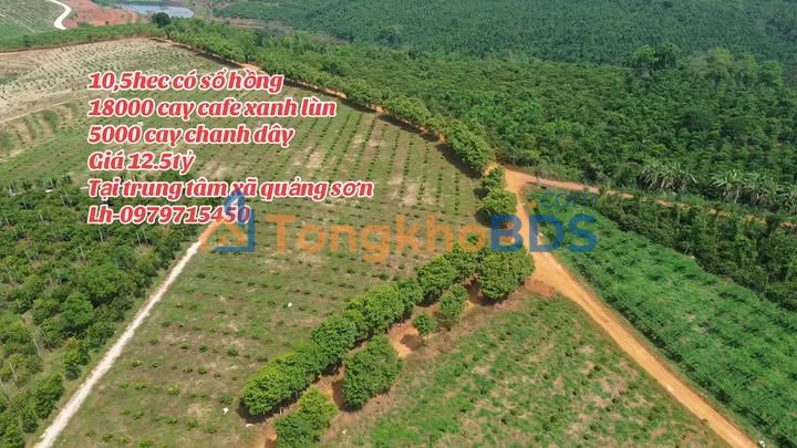 Đất vườn Quảng Sơn Đắk Nông 105.000m² 12,5 tỷ - Nghỉ dưỡng lý tưởng