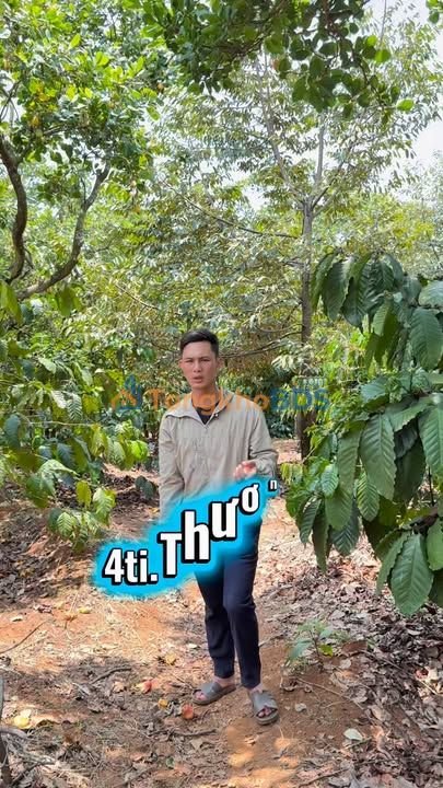 Đất Quảng Tân Tuy Đức 7ha giá 4 tỷ - Đầu tư dài hạn