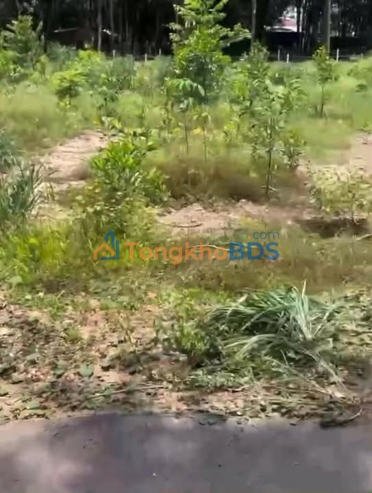 Đất nền An Linh Phú Giáo 200m2 330tr - Sổ hồng riêng