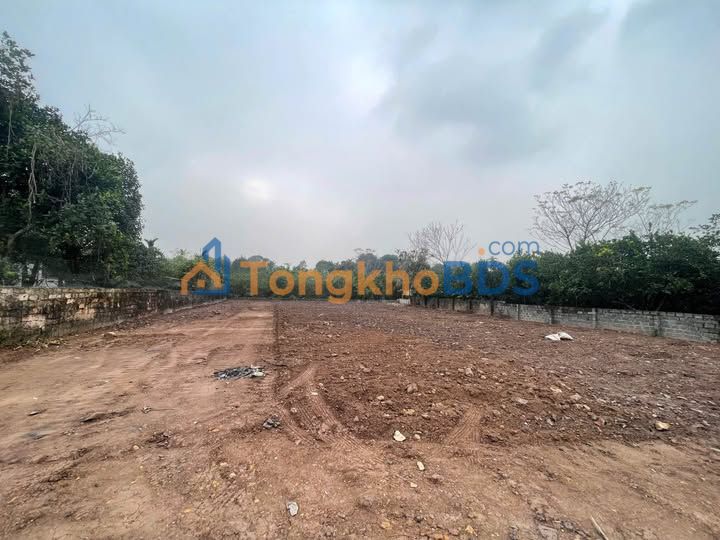 Đất nền QL21 Chương Mỹ 1.300m² 13 tỷ - Sổ đỏ chính chủ