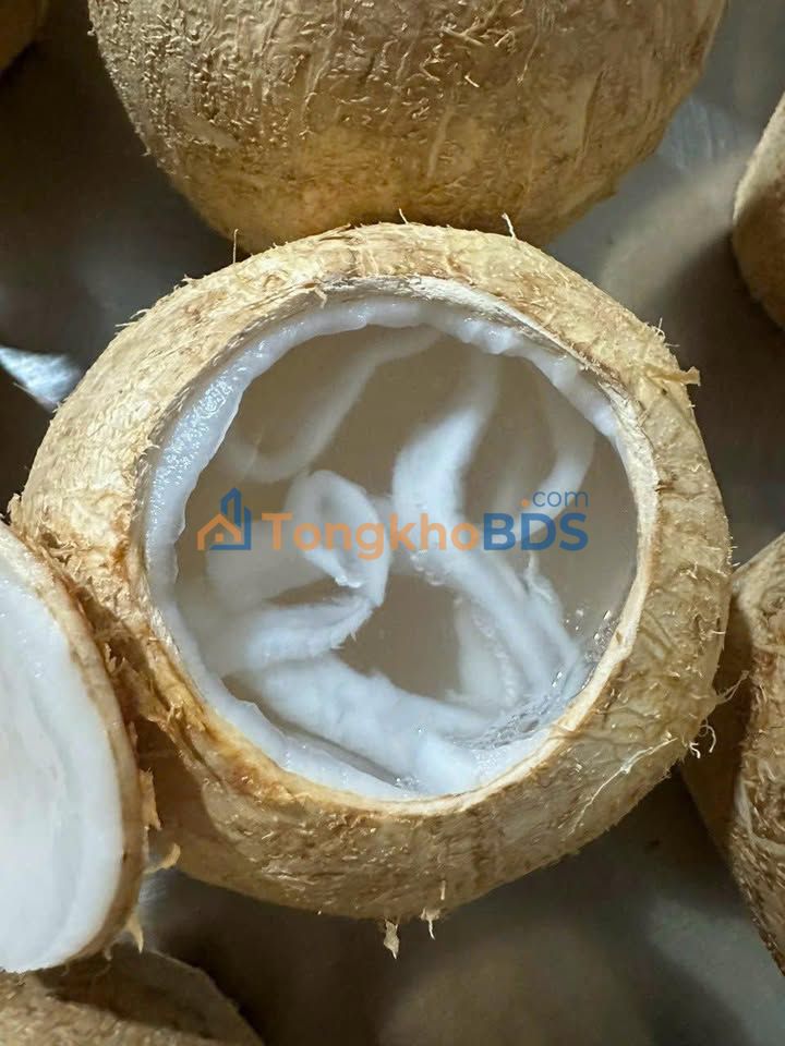 Đất nền Bình Phú Bến Tre 237m² giá 2,37 tỷ - Pháp lý rõ ràng