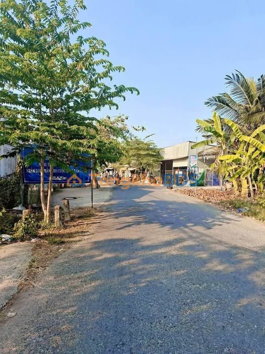 Đất vườn An Phước 4.000m² 6 triệu/tháng - Sinh thái xanh