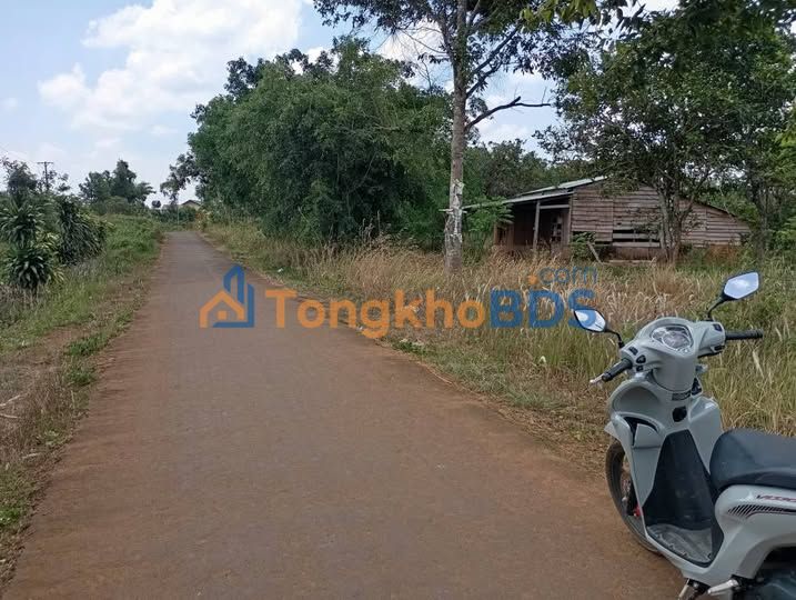 Đất nền Gia Nghĩa 8080m² 3,9 tỷ - Sổ đỏ chính chủ