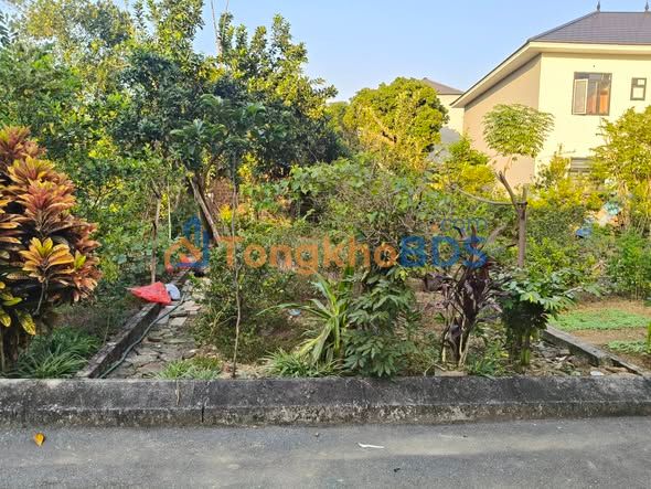 Đất nền Tân Xã Hòa Lạc 70m² - Đường to ô tô