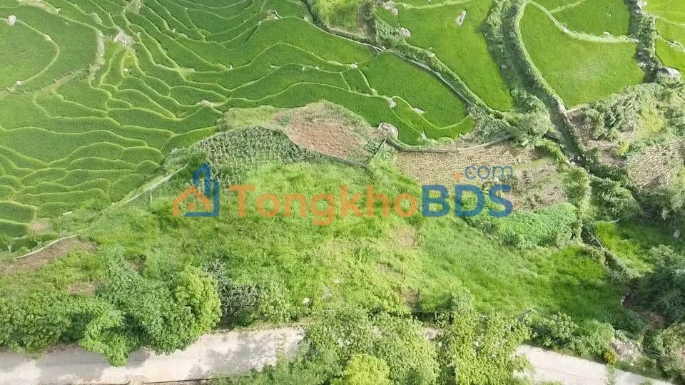 Đất nền Tả Van Sa Pa 1.200m² - Quy hoạch đất ở 100%