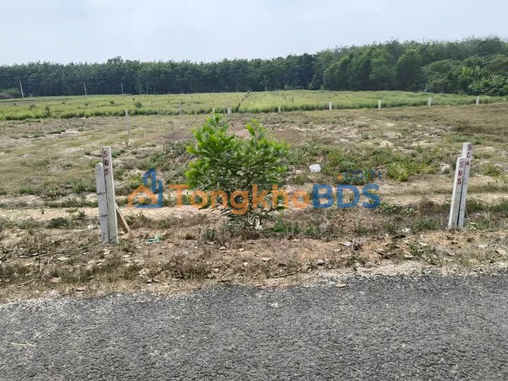 Đất nền Thạnh An Tân Biên 175m² 240 triệu - Sổ đỏ chính chủ