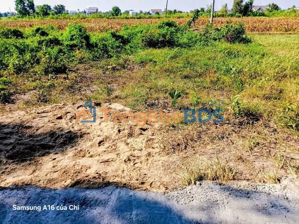 Đất nền Mỹ Hạnh Nam 80m2 580 triệu - Sổ đỏ