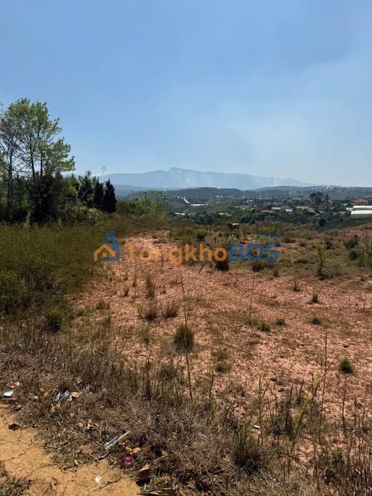 Đất nền Lạc Dương 7.900m² giá 6 tỷ - Đường to ô tô