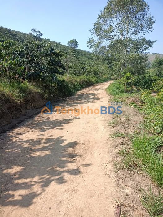 Đất vườn Di Linh 1.152m² giá 1.05 tỷ - Đầu tư dài hạn