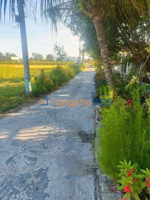 Nhà vườn Xuân An 220m² 3,5 triệu - Sẵn sàng ở ngay