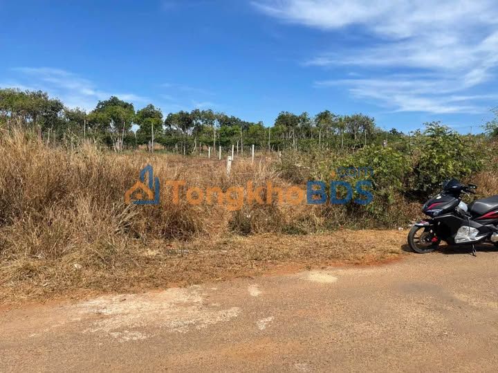 Đất thổ cư Biển Hồ 300m² 1.3 tỷ - Sổ đỏ chính chủ