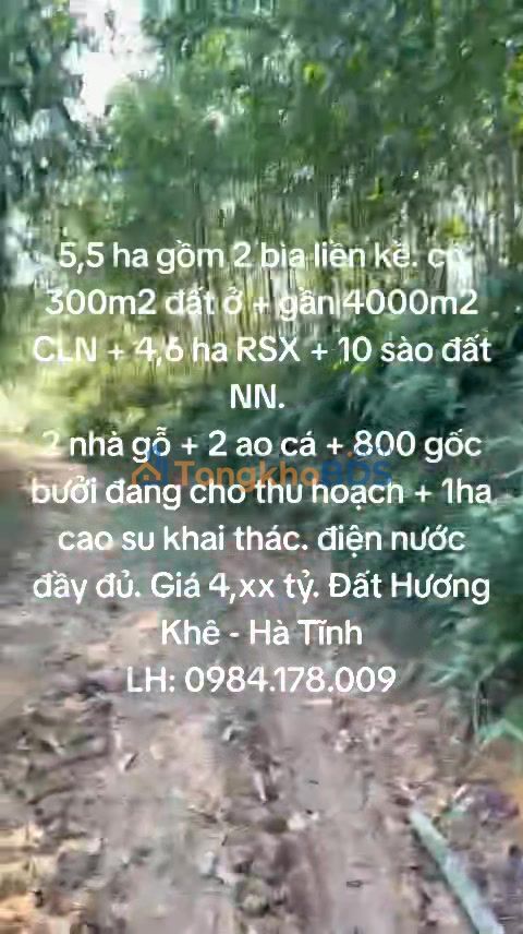 Trang trại Hà Linh 60.000m² sinh thái xanh - Đầu tư dài hạn