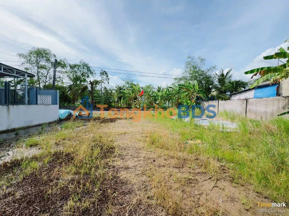 Đất vườn Phụng Hiệp Hậu Giang 4.000m² 1.9 tỷ - Sổ đỏ chính chủ