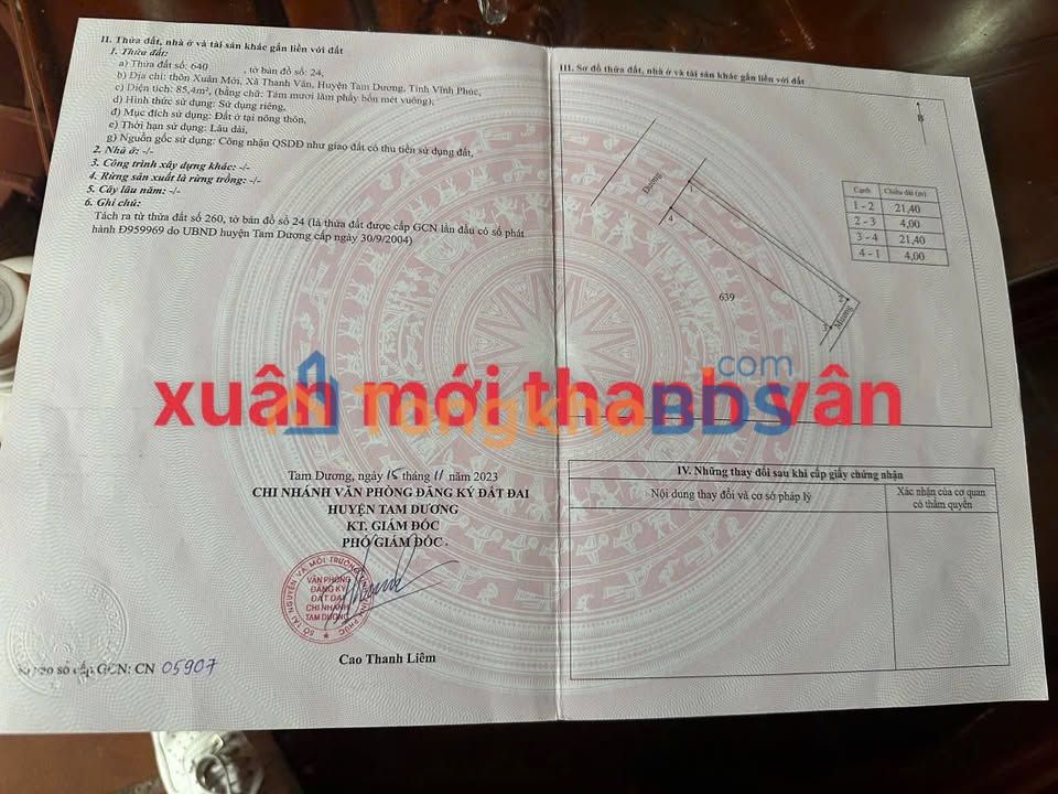 Đất nền Thanh Vân Tam Dương 85m² - Sổ đỏ chính chủ