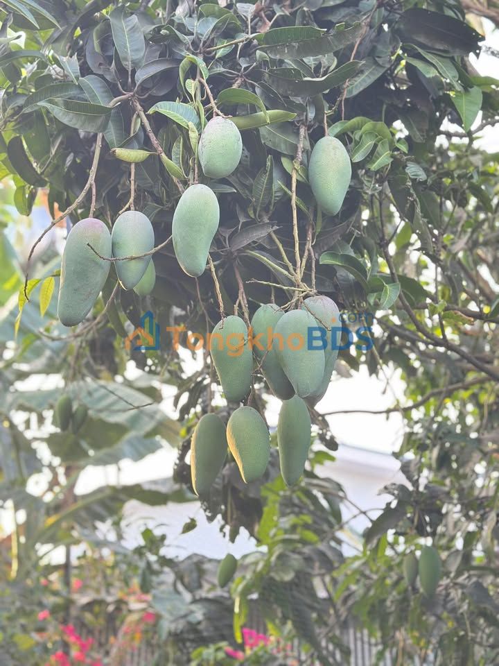 Đất nền Xuân Bắc Đồng Nai 1000m² giá 1 tỷ - Sổ đỏ chính chủ