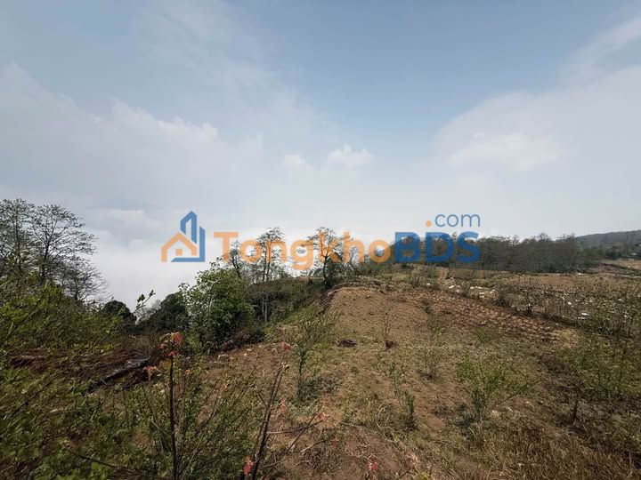 Đất nền Machava Y Tý 8.500m² 5,95 tỷ - Tiềm năng tăng giá