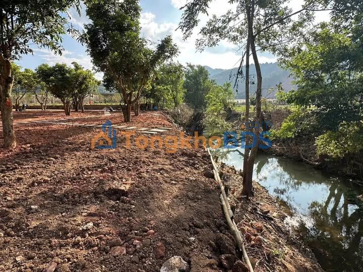 Đất nền Mộc Lỵ Mộc Châu 1167m2 - Tiềm năng tăng giá