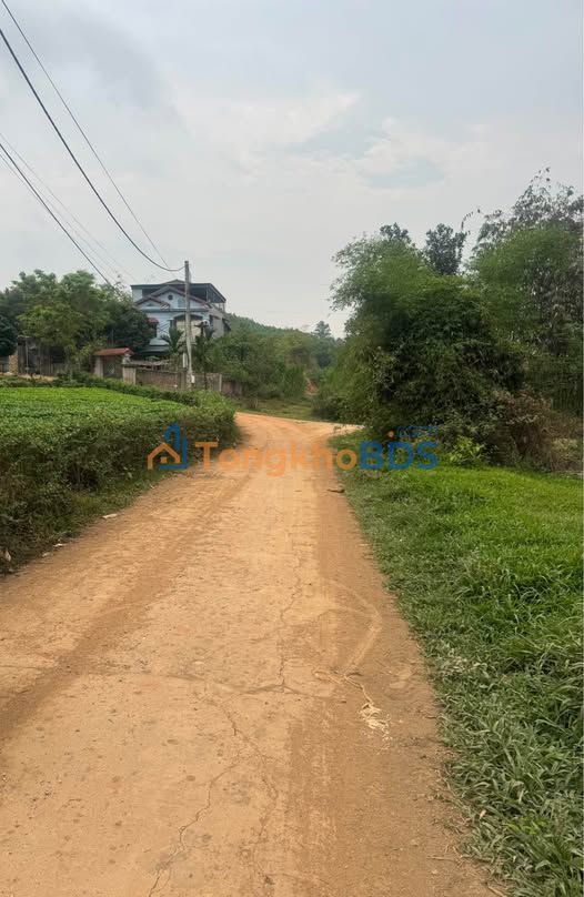 Đất nền An Tường 120m² 1.2 tỷ - Đường ô tô rộng