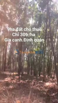 Đất vườn Gia Canh Bảo Lộc 9 mẫu 270tr - Sinh thái xanh