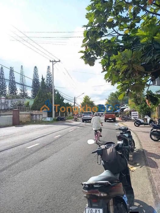 Đất Nguyễn Thái Học Bảo Lộc 300m² 7.5 tỷ - Sổ đỏ chính chủ