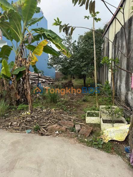 Đất nền Hiệp Hòa Bắc Giang 144m² 3 tỷ - Sổ đỏ chính chủ