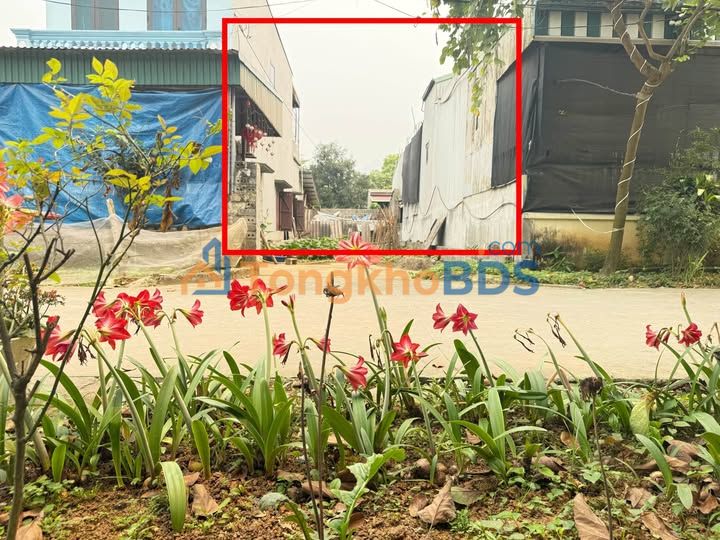 Đất nền Phú Thành Lạc Thủy 125m² giá tốt - Sổ đỏ chính chủ