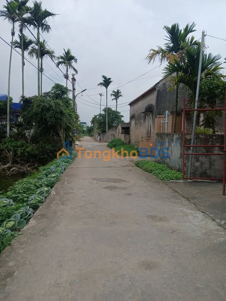 Đất nền Tiên Minh, Tiên Lãng 168m² 1.2 tỷ - Mặt tiền ô tô