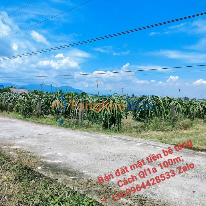 Đất Phường Bình Thuận 6.372m²/9,35 tỷ - Sổ hồng rõ ràng