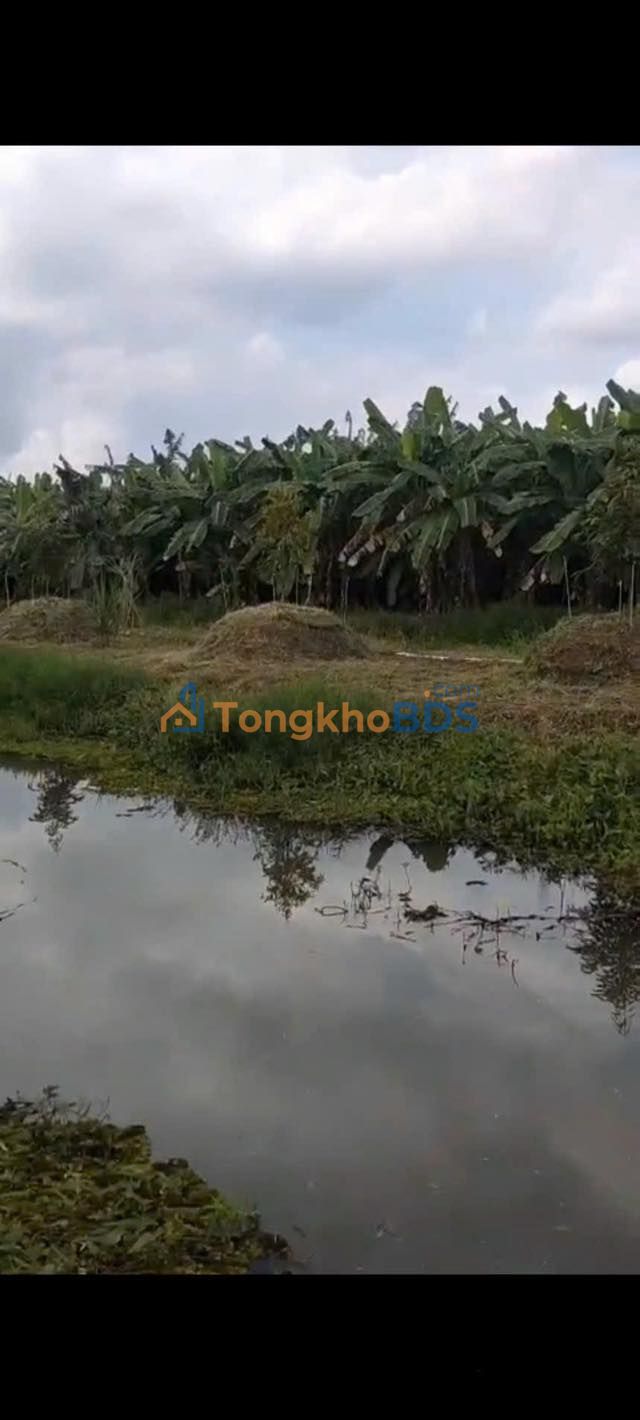 Đất vườn Hiệp Hưng Phụng Hiệp 10.200m² 2,244 tỷ - Sinh thái xanh