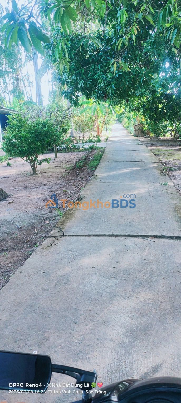 Đất nền Hồ Đắc Kiện 300m² 250 triệu - Xây dựng tự do