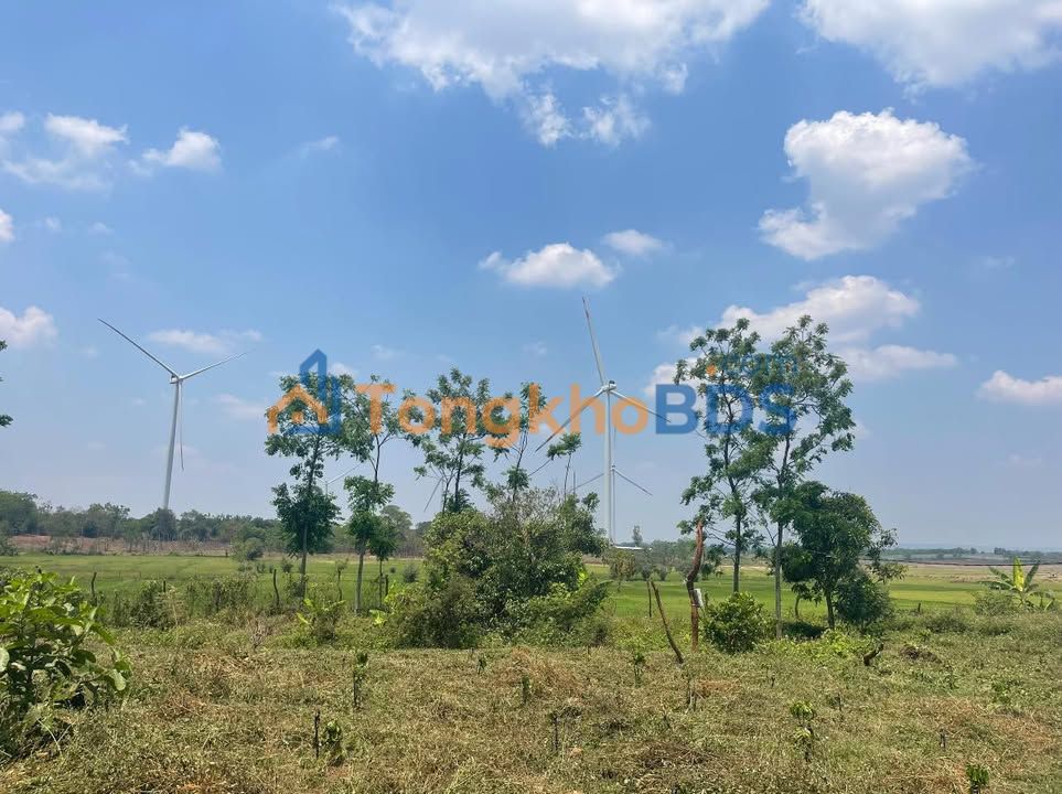 Đất nền Ia Hrú Gia Lai 50m² 215 triệu - Giá F0 CĐT bán gấp