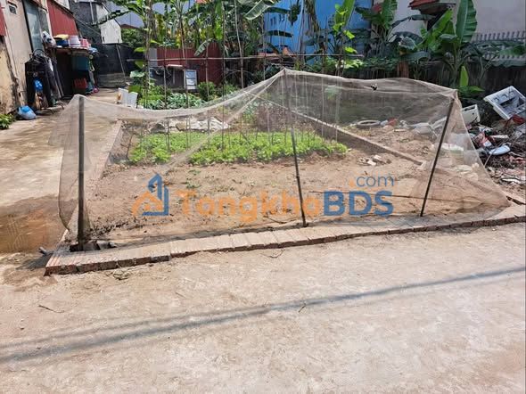 Đất nền Tiền Phong Mê Linh 65m² thỏa thuận - Ô tô vào đất