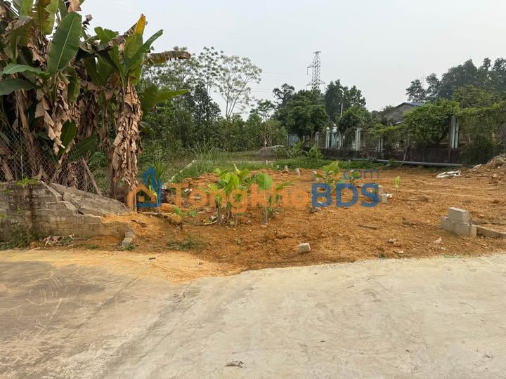 Đất nền Thịnh Đán 98m² giá thỏa thuận - Đất thổ cư 100%