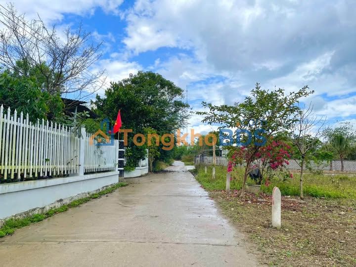 Đất thổ cư Diên Toàn 117m² giá 310 triệu - Đường ô tô