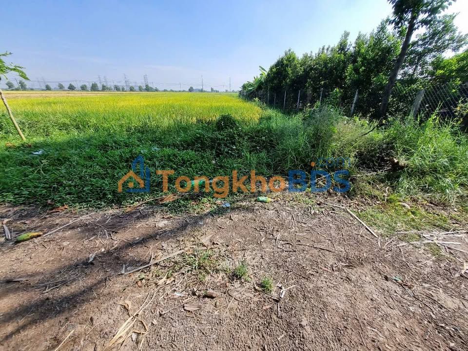 Đất xã Tân Phú Trung Củ Chi 6.087m² 1,8tr/m² - Sổ đỏ chính chủ