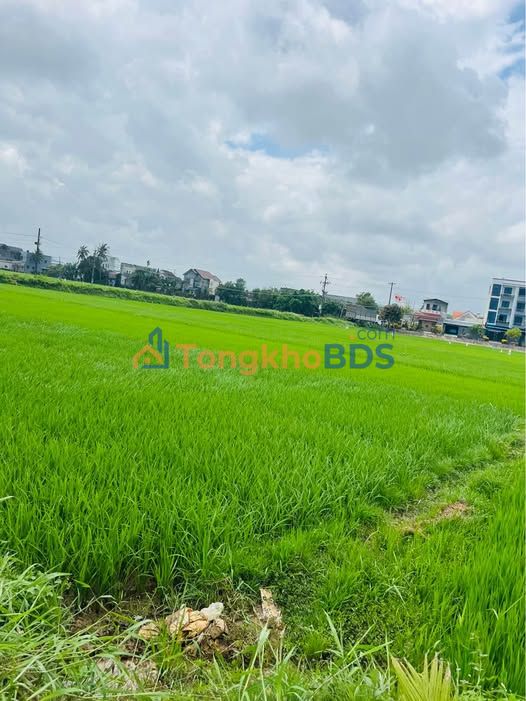 Đất vườn XVNT Đà Lạt 231m² 750 triệu - Đầu tư dài hạn