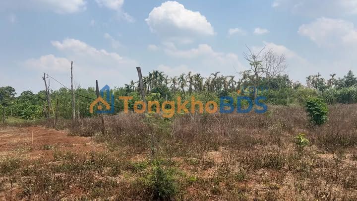 Đất nền Ia Hrú 5.800m² giá 0,89 tỷ - Sổ đỏ chính chủ