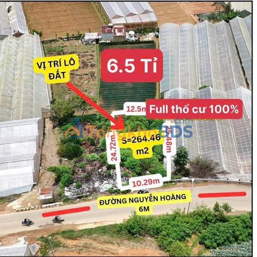 Đất nền P7 Đà Lạt 264m² 6.5 tỷ - Sổ đỏ chính chủ