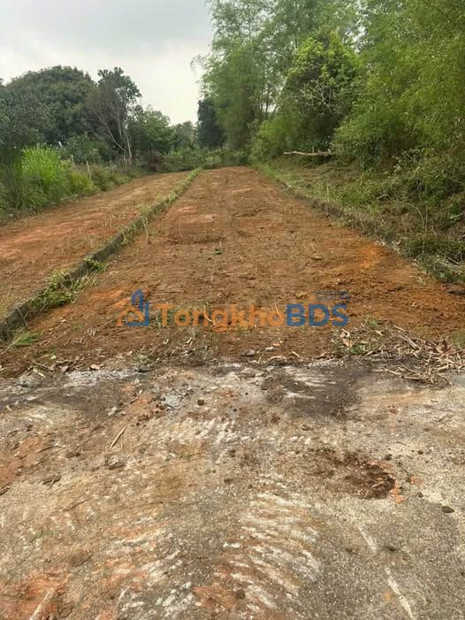 Đất nền Hiệp Hòa 204m² giá thỏa thuận - Sổ đỏ chính chủ