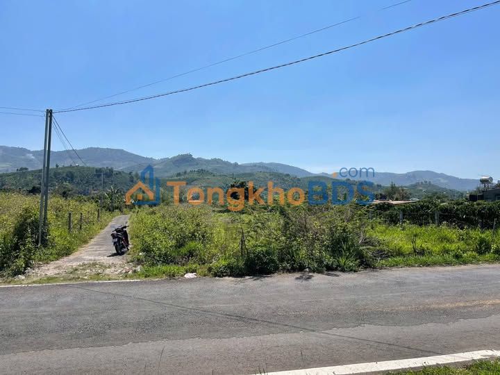 Đất Bảo Lộc Đinh Công Tráng 492m² 93.48 tỷ - Sổ đỏ chính chủ