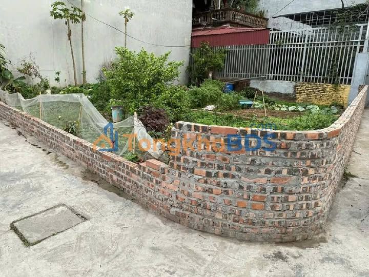 Đất Phúc Lợi Long Biên 55m² 8,18 tỷ - Sổ đỏ chính chủ