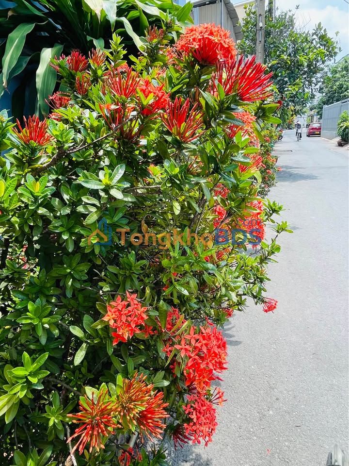 Nhà riêng Huỳnh Tấn Phát 112m² 6 tỷ - Ô tô vào tận nhà