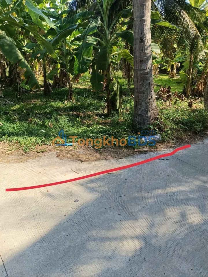 Đất nền An Phước 500m² 750 triệu - Xây dựng tự do