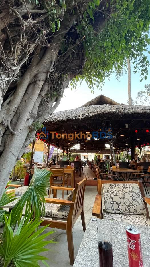 Đất nền Nguyễn Đình Chiểu 200m² 8 tỷ - Tiềm năng tăng giá